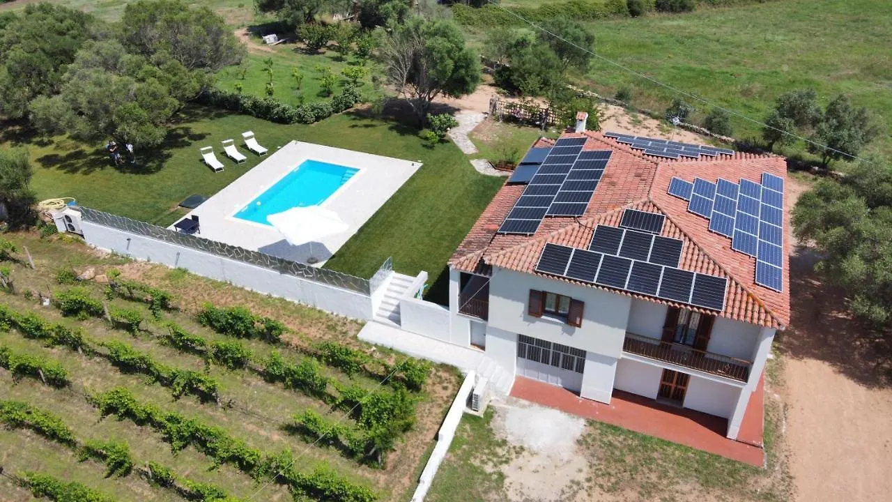 Gli Olivastri Guest House Arzachena 0*,